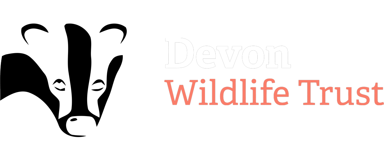 devon wildlife trust logo